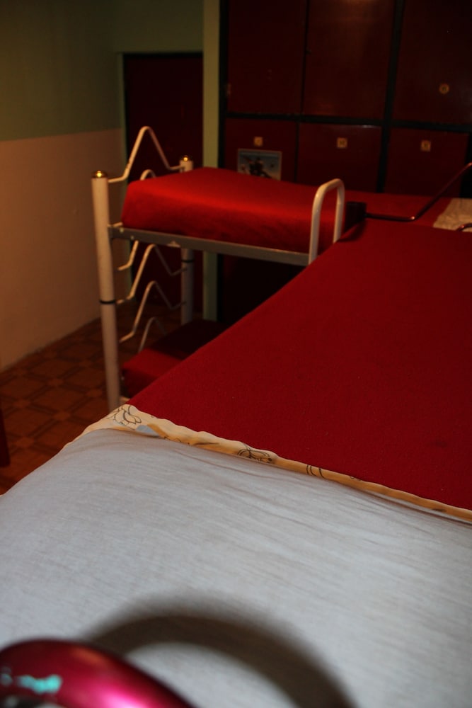 The Grapevine Hostel