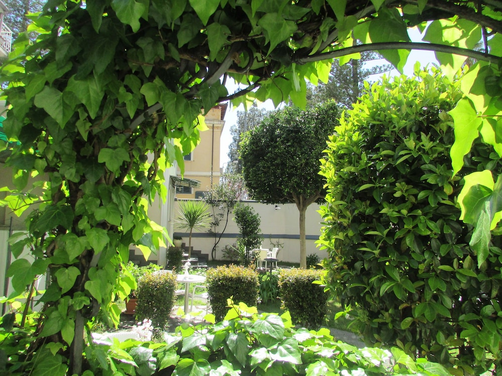 Photo 45