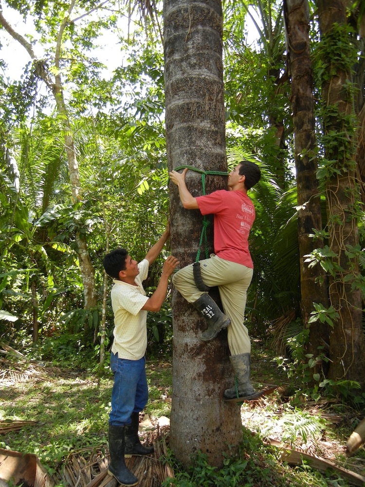 Pacaya Samiria Amazon Lodge