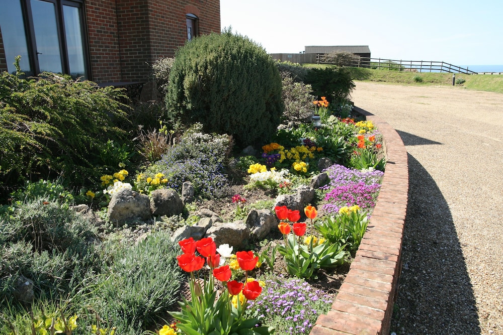 Photo 46