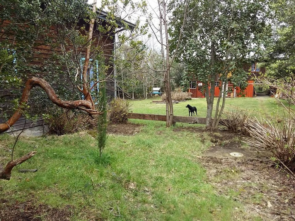 Photo 13