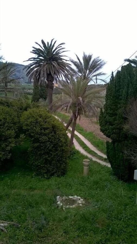 Photo 43