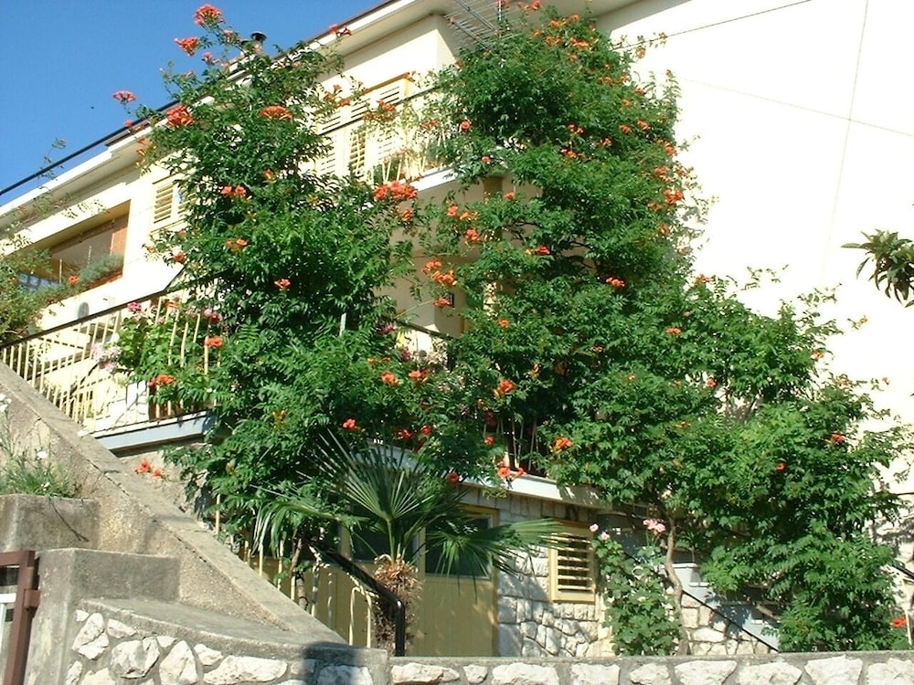 Ivo - A3-vilma view 4