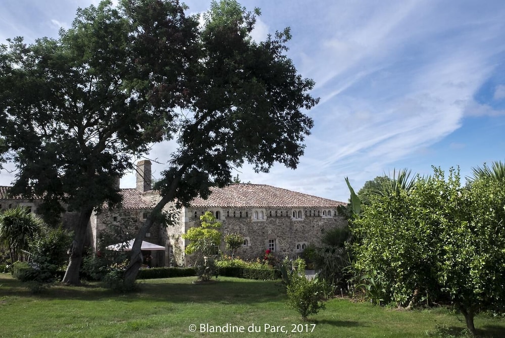 Photo 15