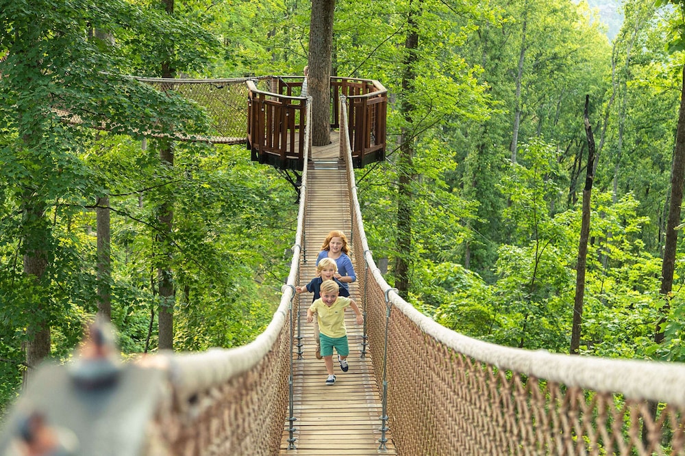 Cove Creek Overlook