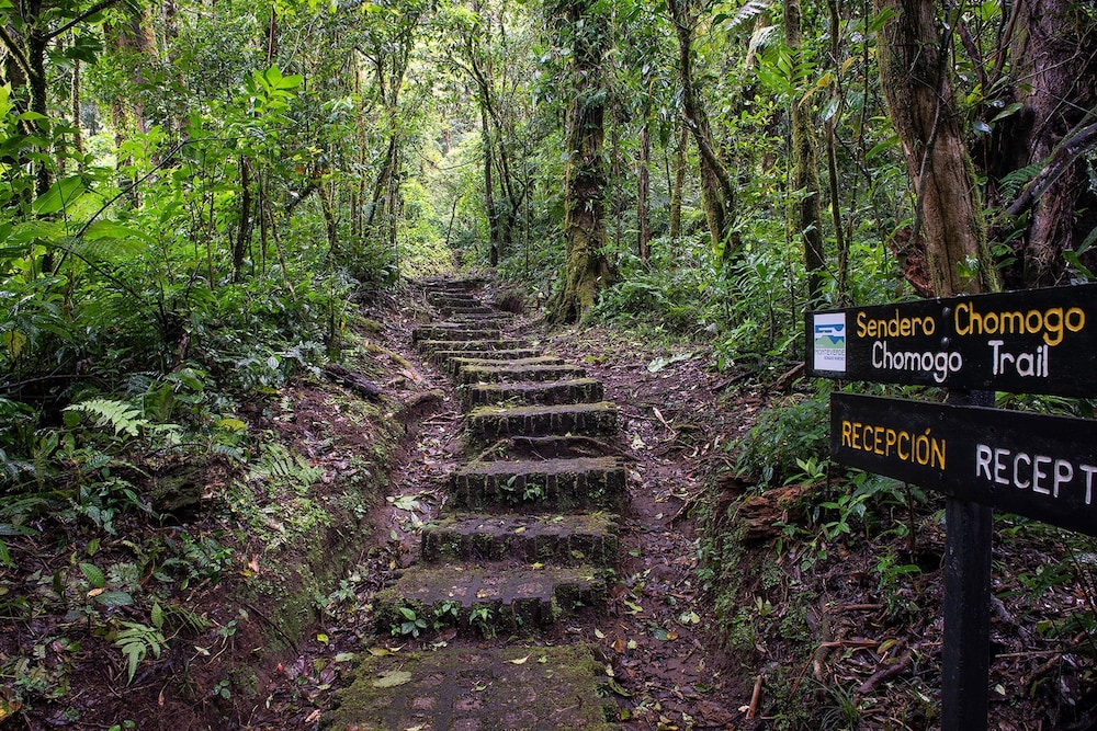 Monteverde Cloud Forest Vacations - Monteverde Lodge  Gardens by Boena - Property Image 6