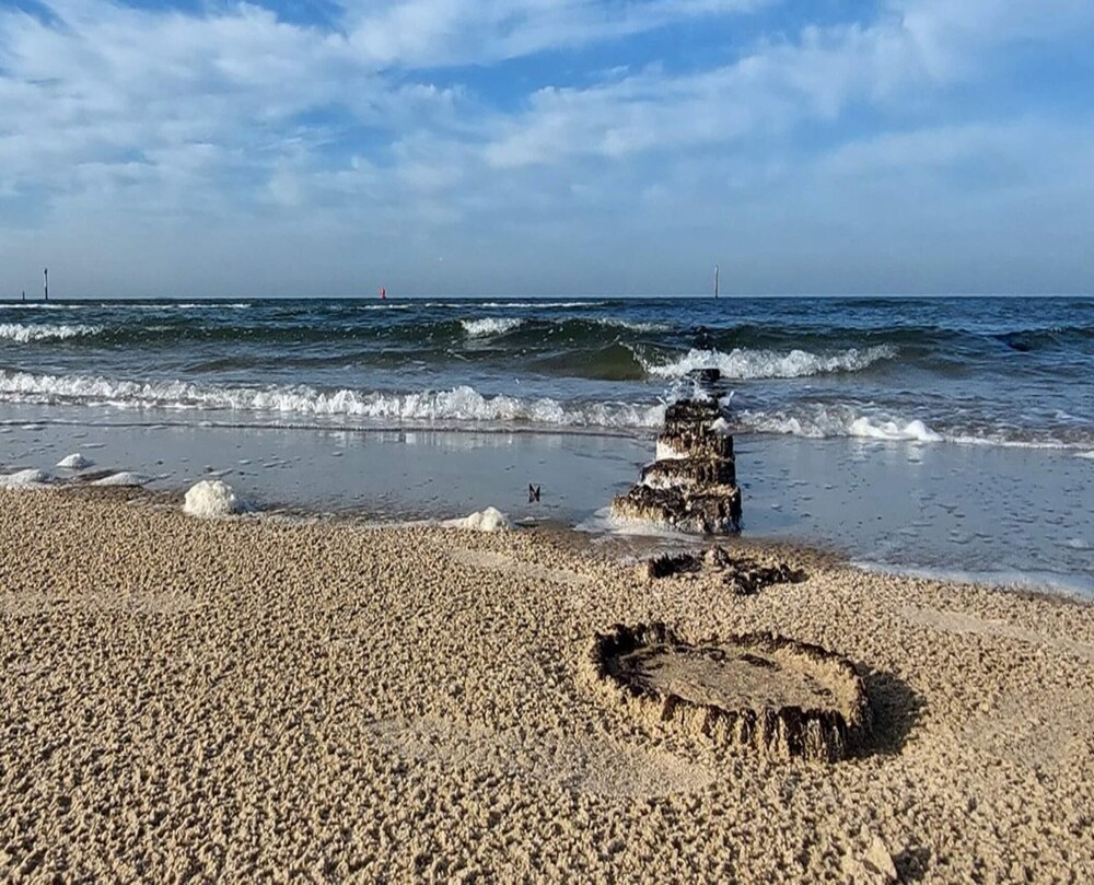 Pet-friendly Escape by the Sea