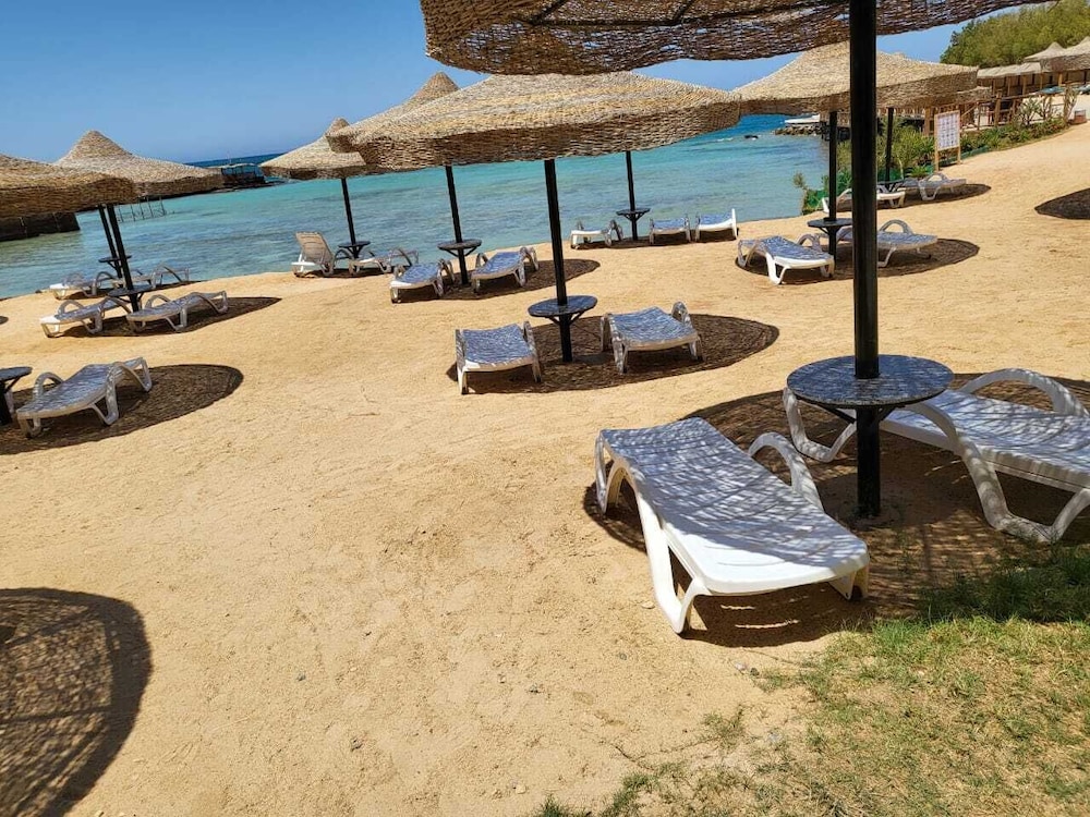 moon beach resort