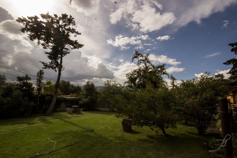 Photo 23