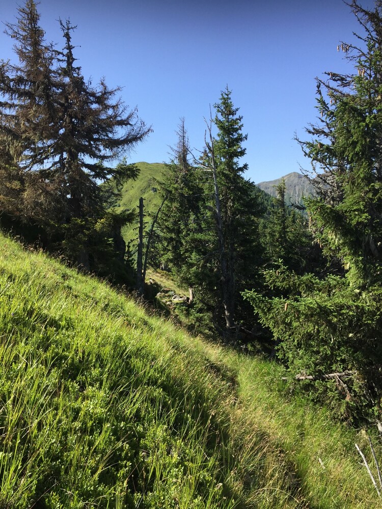 Photo 36