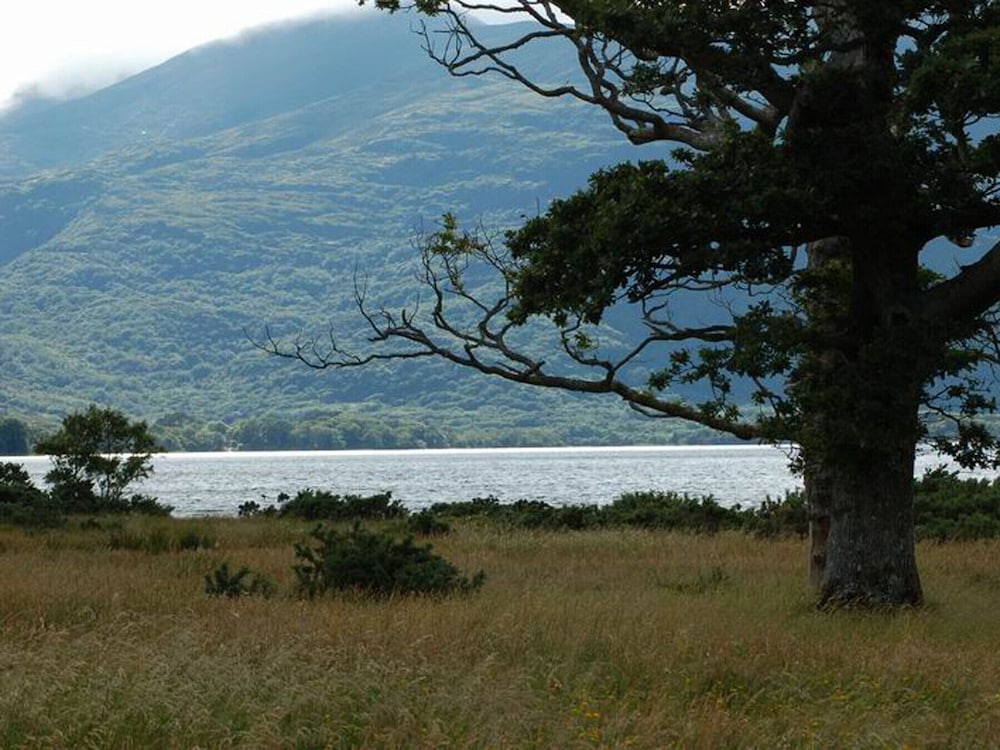 Innisfallen Holiday Village