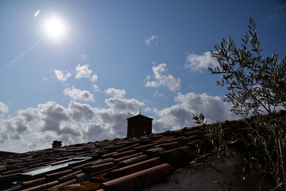 roof