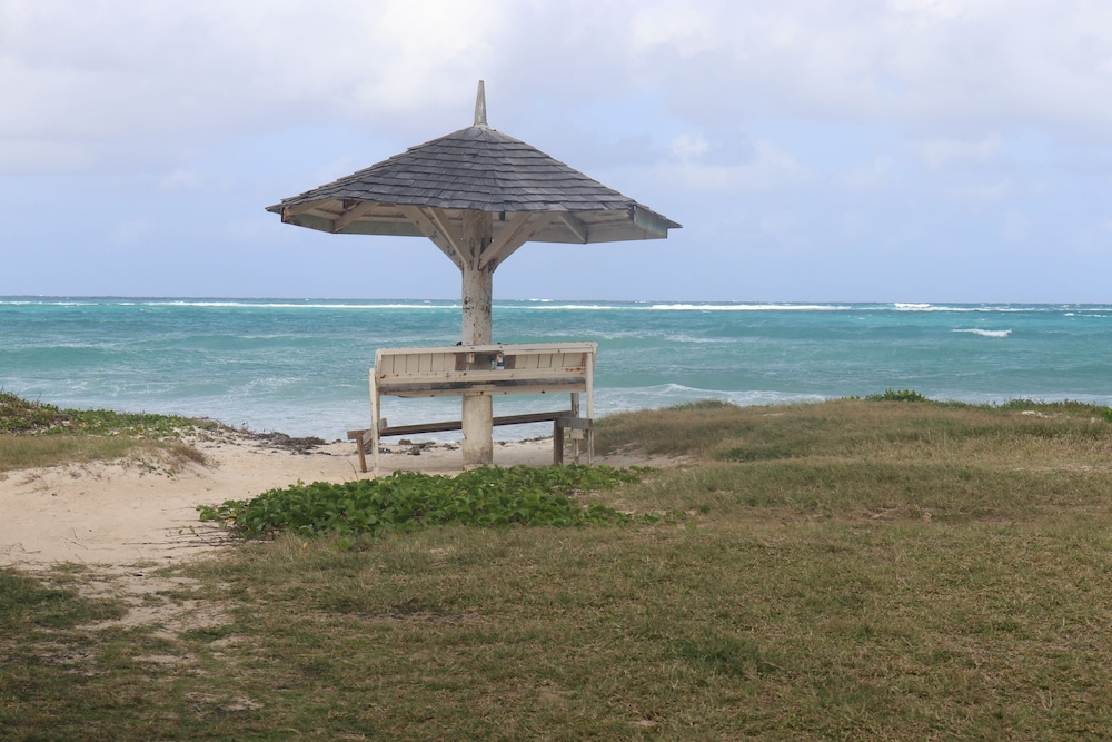 Beach Palm Villa, photo 65