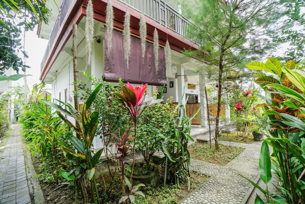 Molecha Guest House view 3