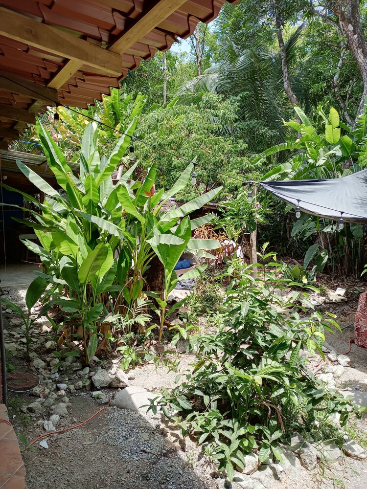 Photo 20
