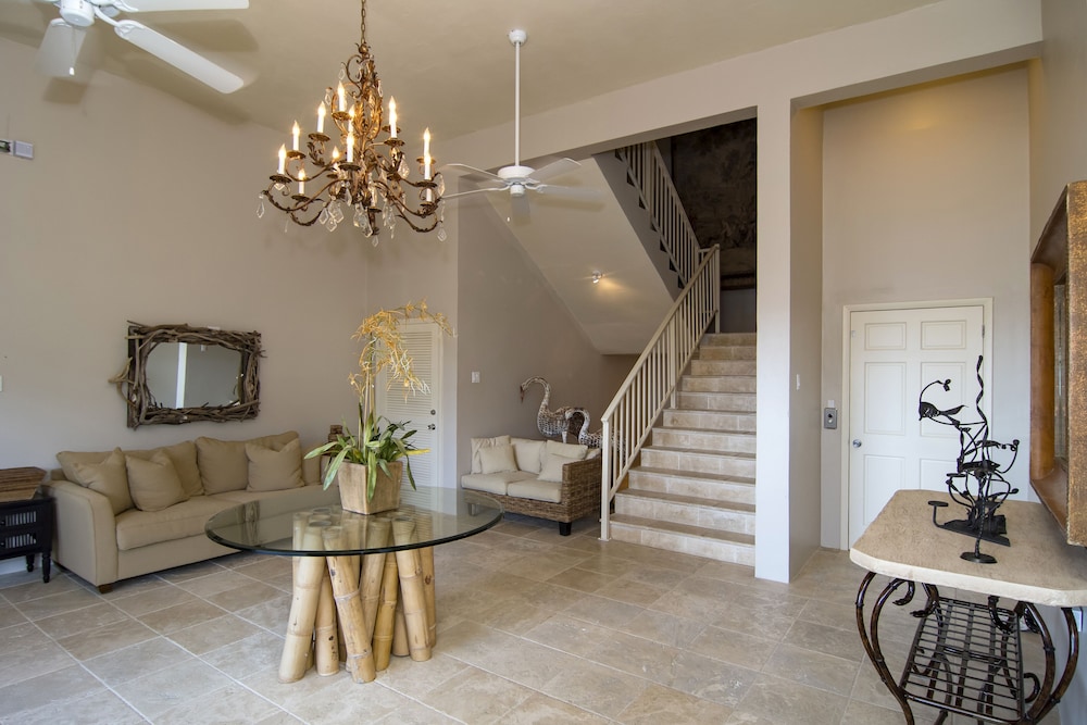 Bougainvillea by Island Properties Online view 5