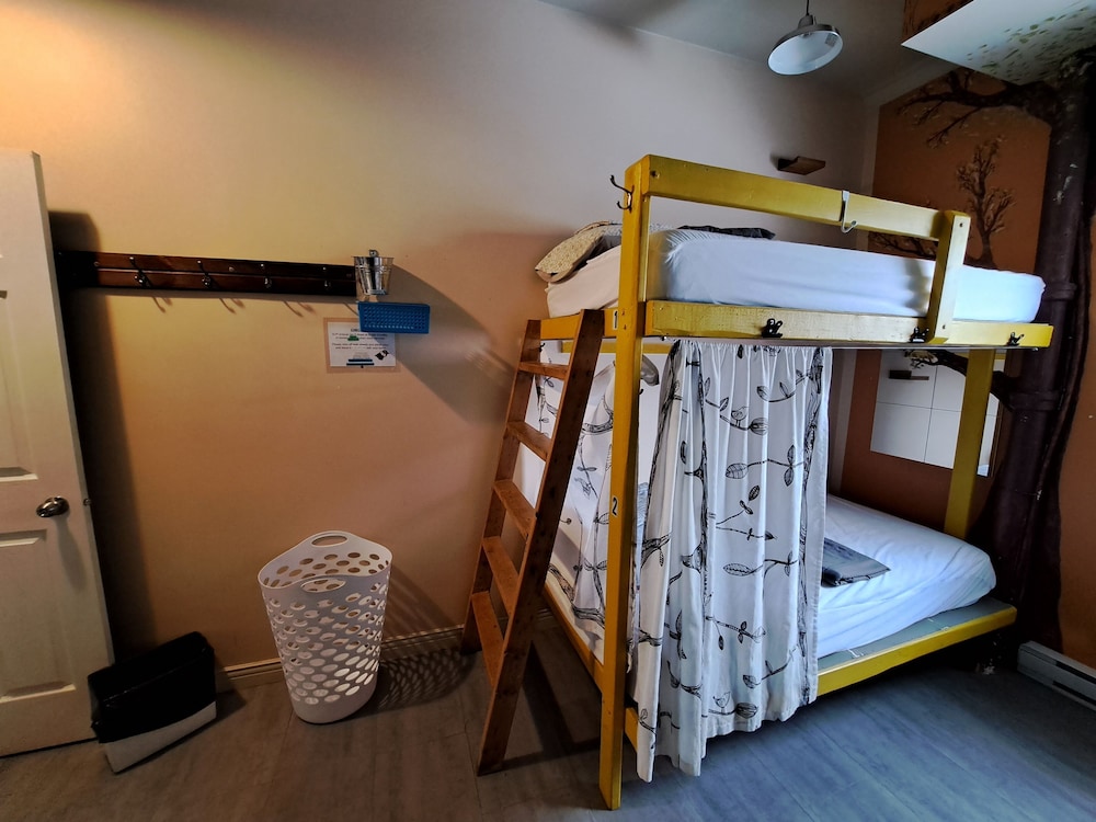 Levis Vacations - Auberge Jeunesse LouLou's Backpacker Hostel - Property Image 13