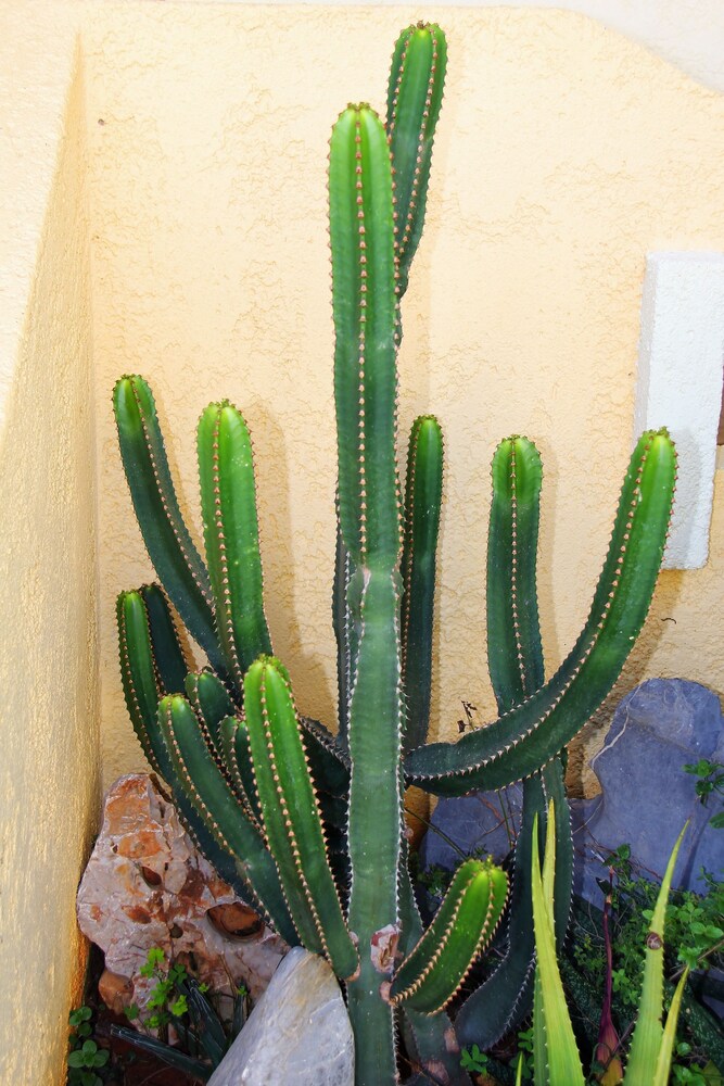 Photo 19