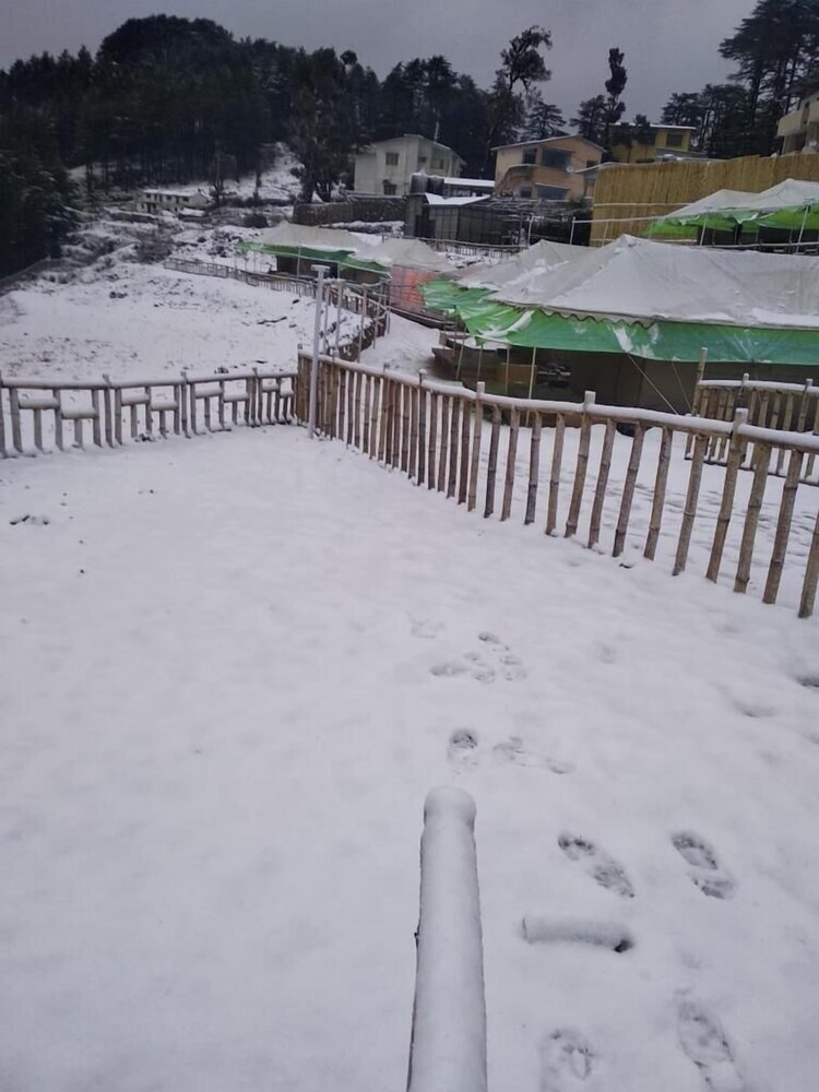 Junglee Camps & Resort view 3