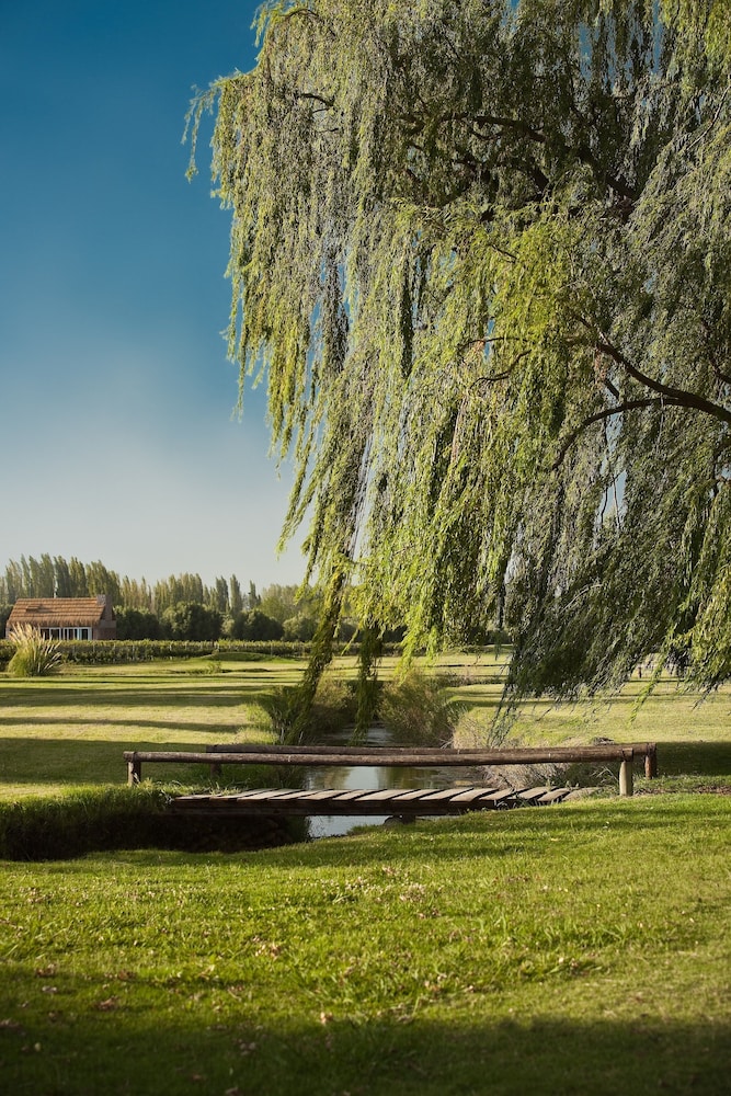 Algodon Wine Estates and Champions Club