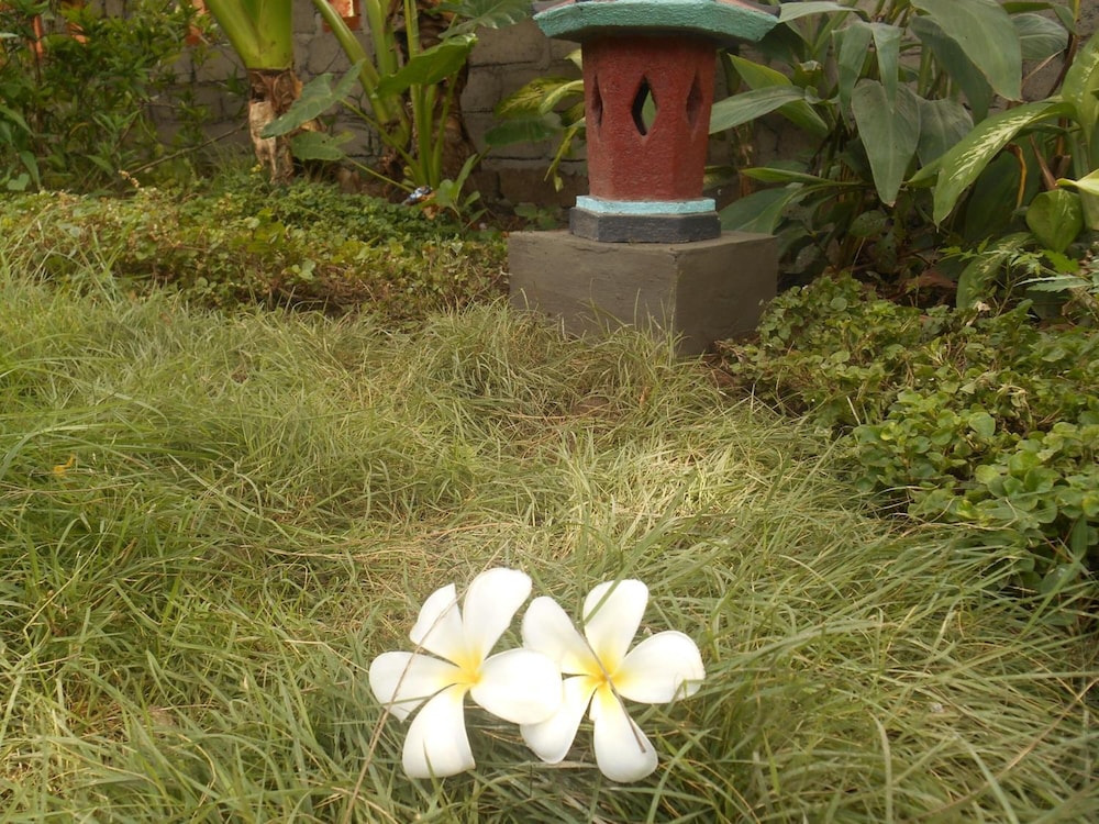 The Local Menjangan