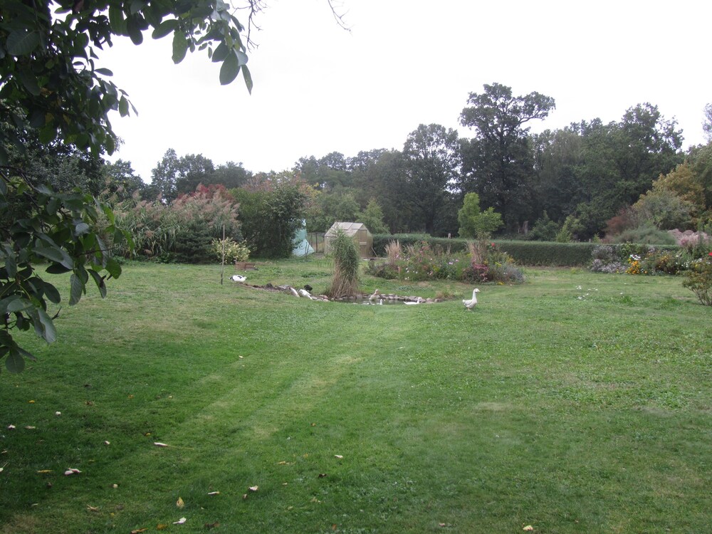 Photo 23