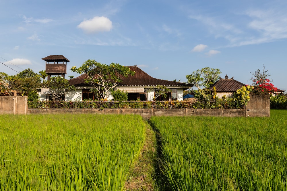Devi's Place