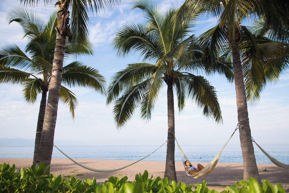 Photo 259