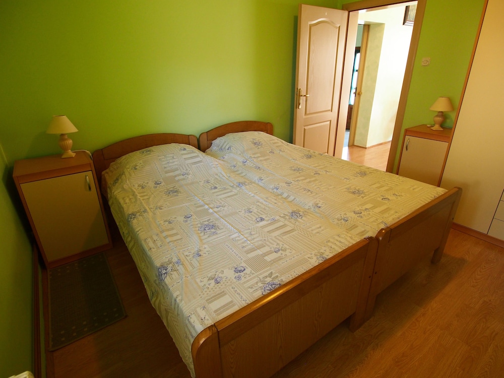 Apartments and Rooms Pavek view 4