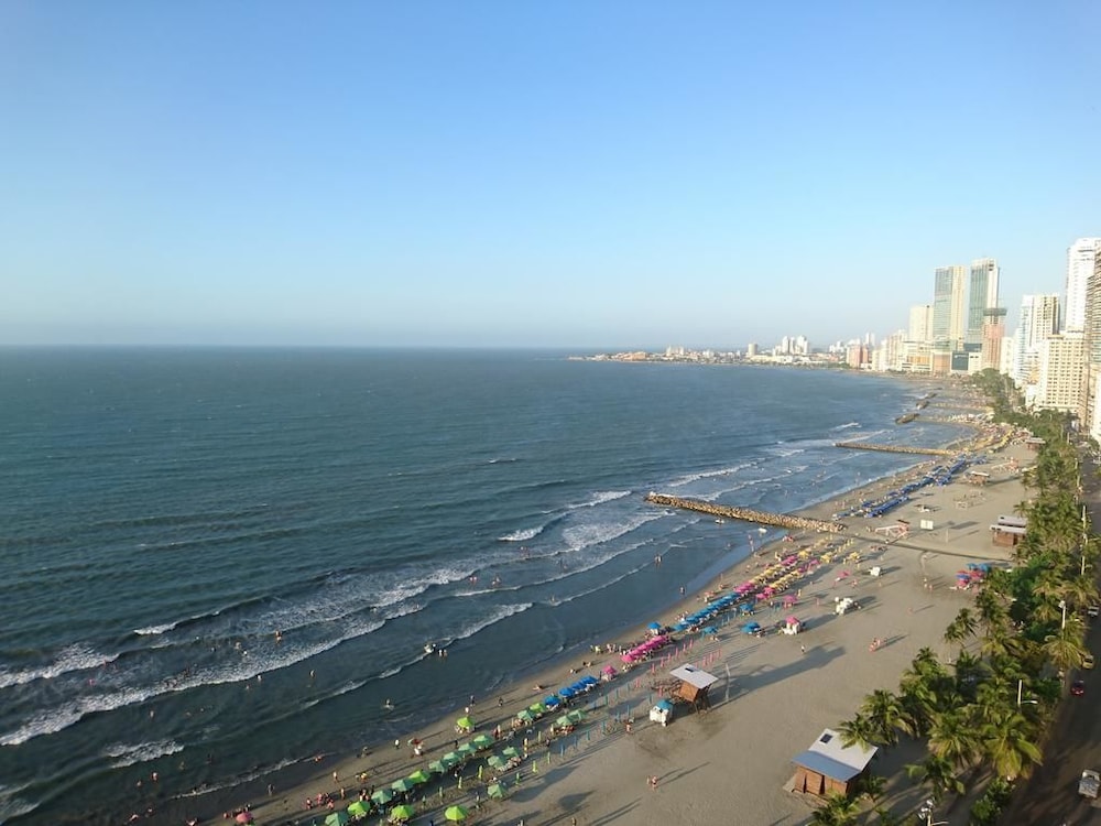 Palmetto Eliptic La Playas Bocagrande