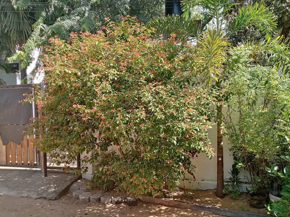 Photo 33