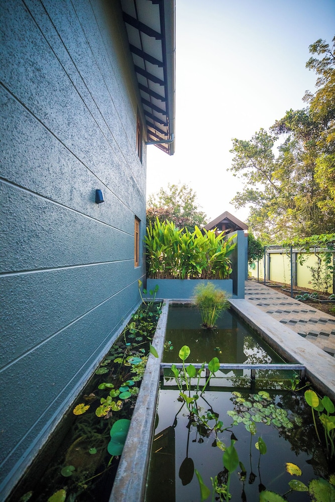 Hibiscus Earth - CGH Earth