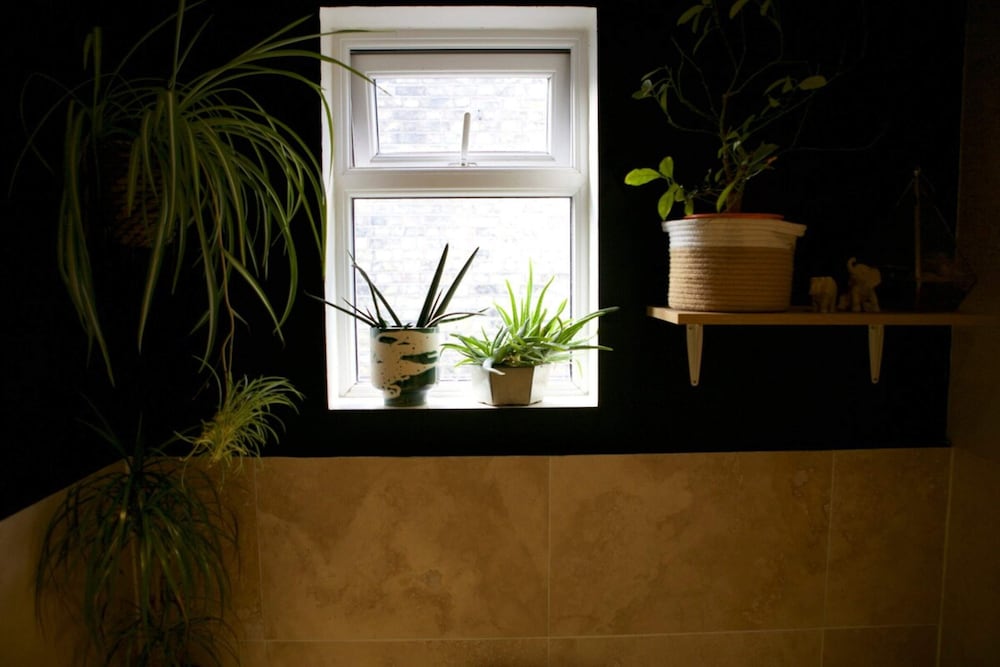 Inviting & Secluded 1BD House w/ Patio - Peckham!