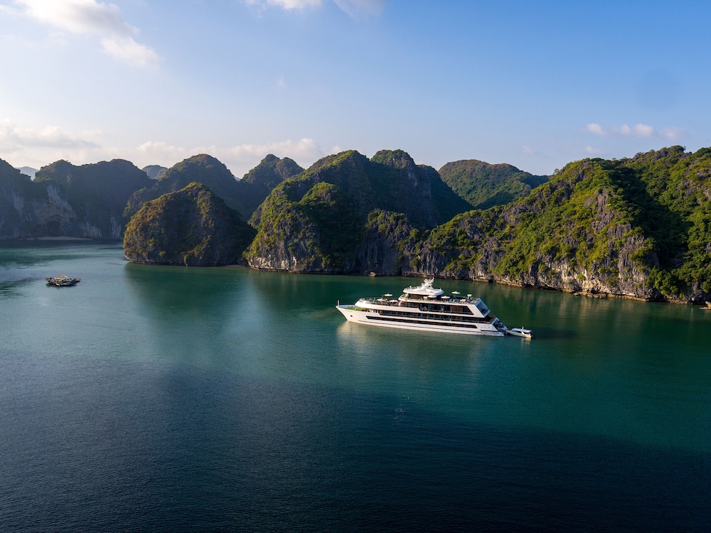 Stellar of the Seas