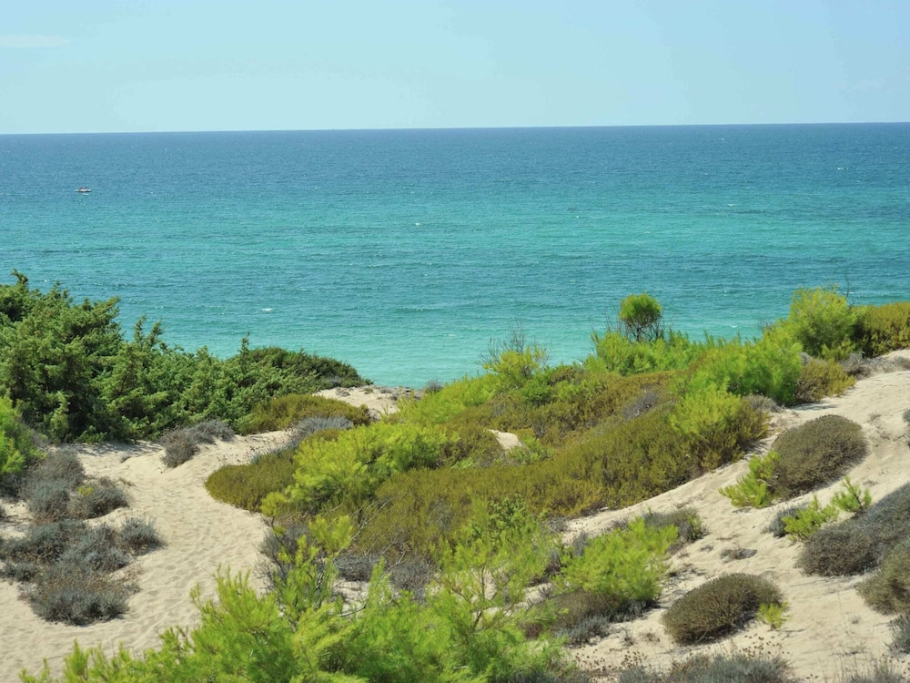 Farm Near the Beautiful Ionian Sea, in the Beautiful Salento view 5