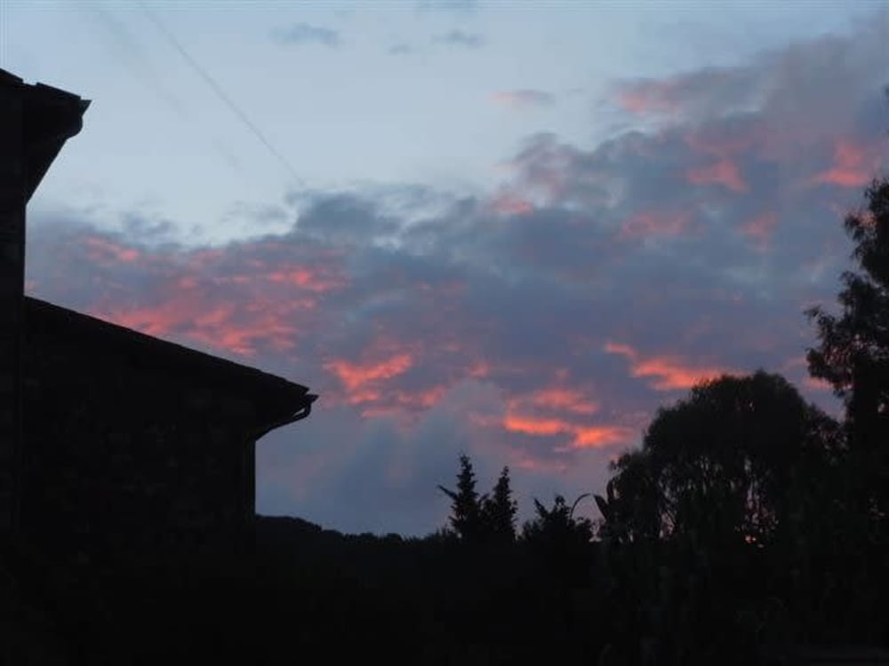 Photo 33
