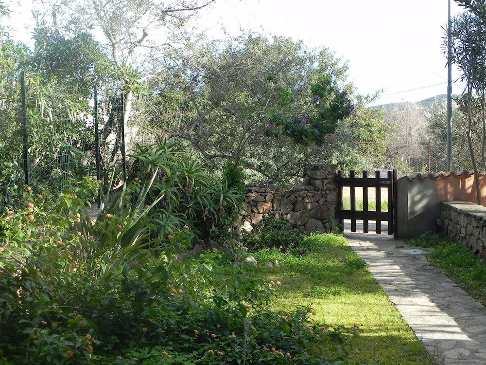 Photo 23