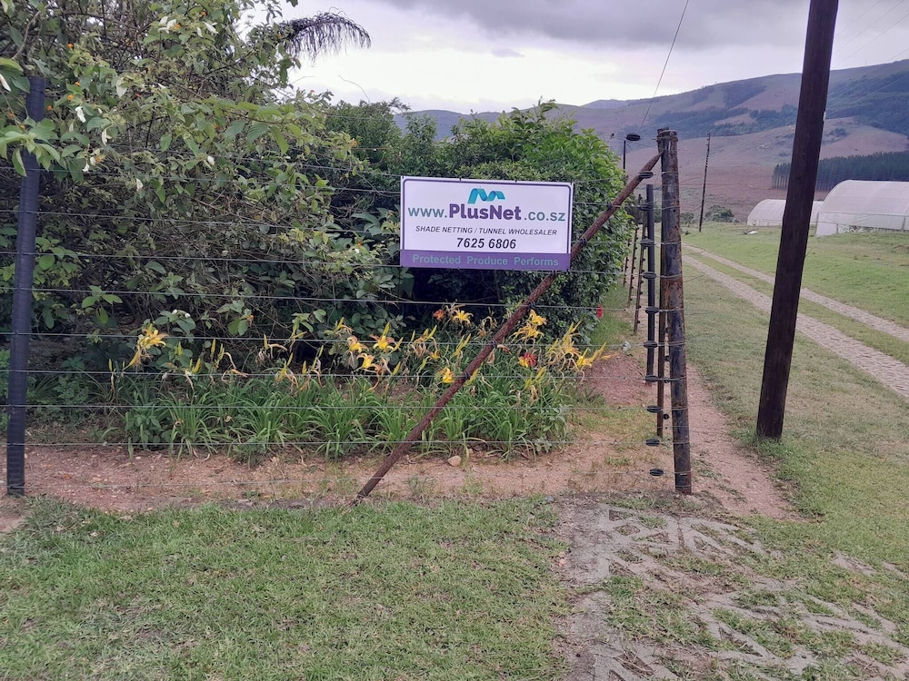 Rodo Mountain View 1