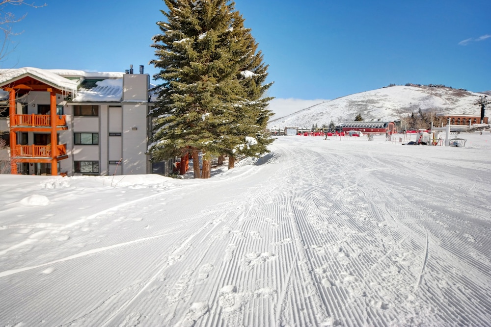 Snow Flower 011-studio Condo by RedAwning view 3