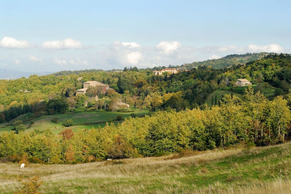 Agriturismo La Piaggia Vivo D'orcia - "once Upon a Time" Apartment - 3 Guests photo 4