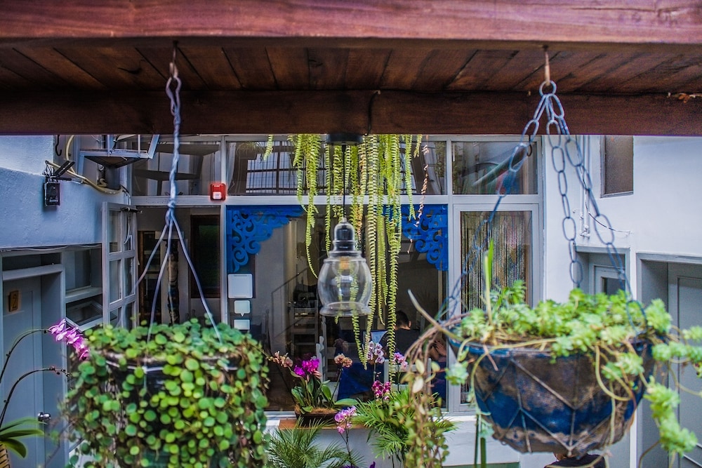 Posada del Maple - Hostel