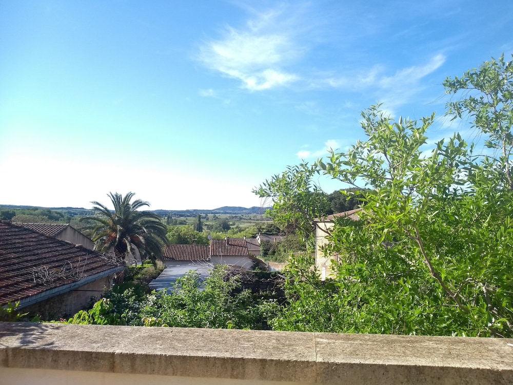 Maison d'hôtes la Bignone, photo 13