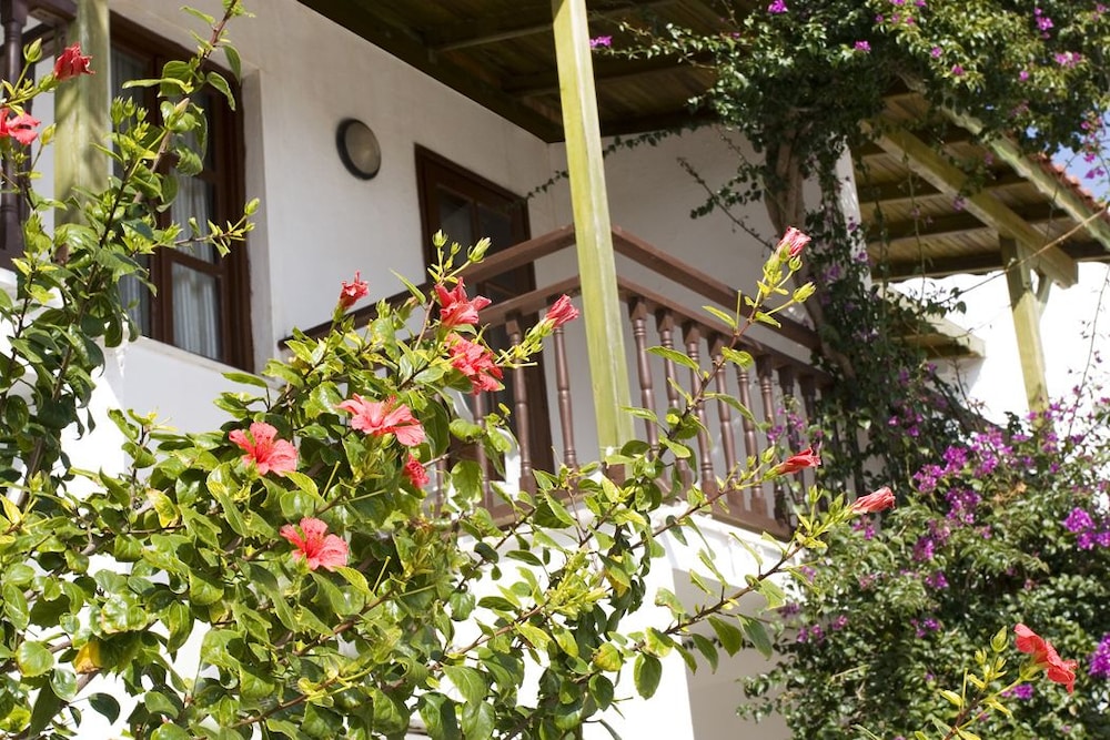 Delfi Otel & Spa - Image 13