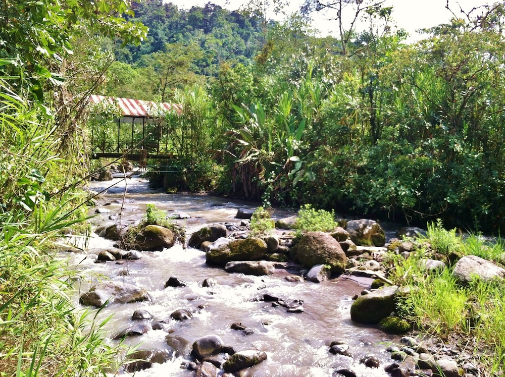 Mindo Garden Lodge