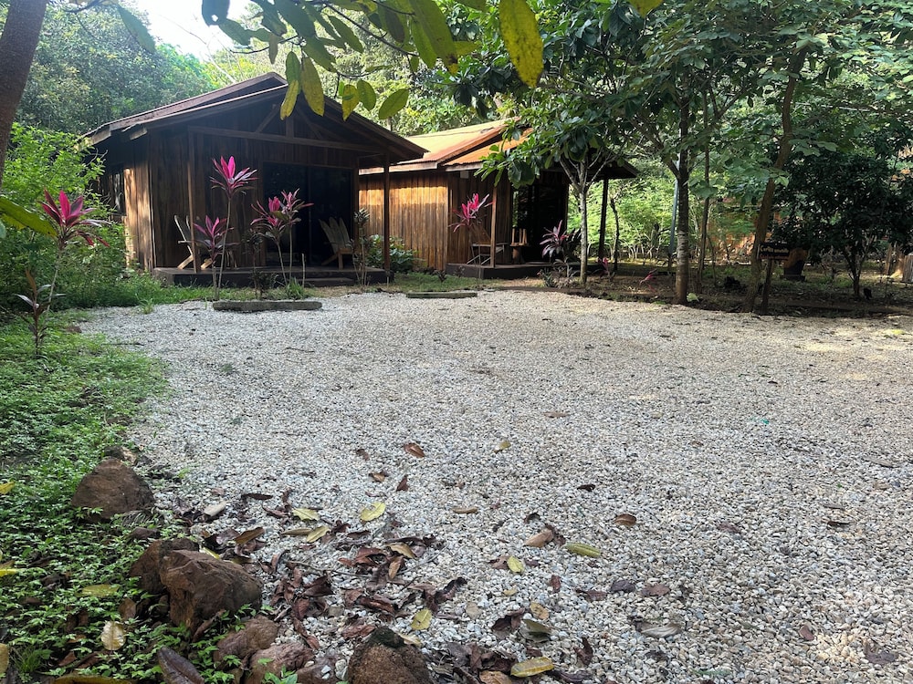 Finca Avellanas