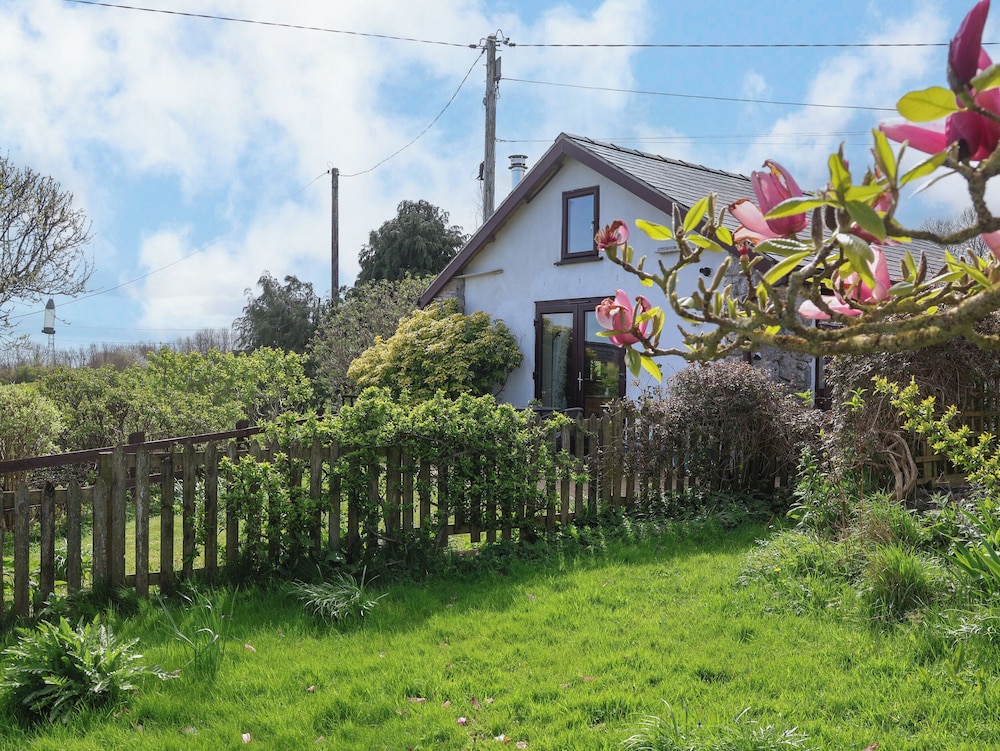 Dolphin Bach, photo 22