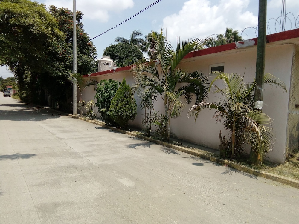 Photo 19