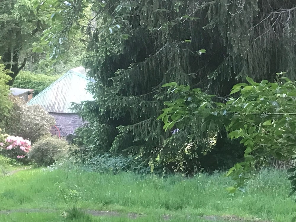 Organic Welltree