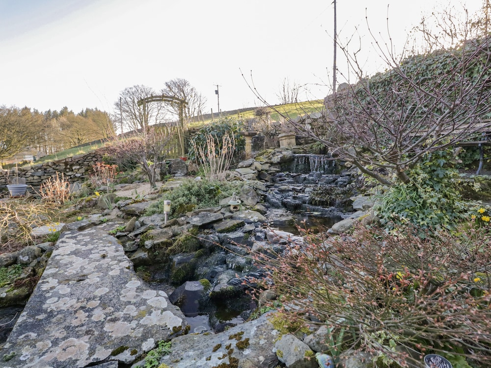 The Old Rookery