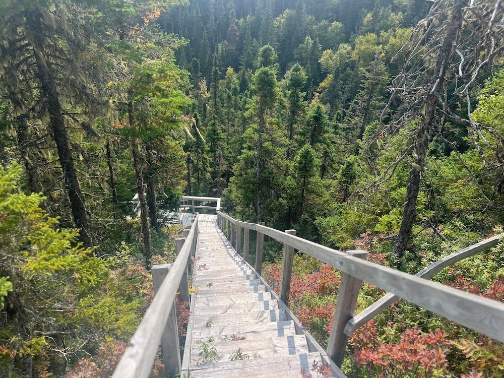 Indian Falls Chalets